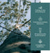 Plant of Life | Organic Essential Oil 1oz Skincare Neo Wholesale Co.
