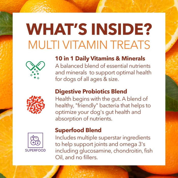 PetPal | Multi Vitamin Soft Chew Treats for Dogs Health & Life Neo Wholesale Co.