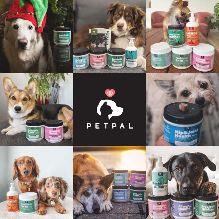 PetPal | Hemp Calming Treats for Dogs