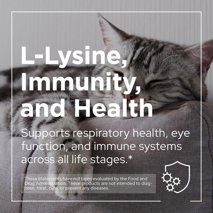 PetPal | L-Lysine Immune and Respiratory Support Supplement for Cats Health & Life Neo Wholesale Co.