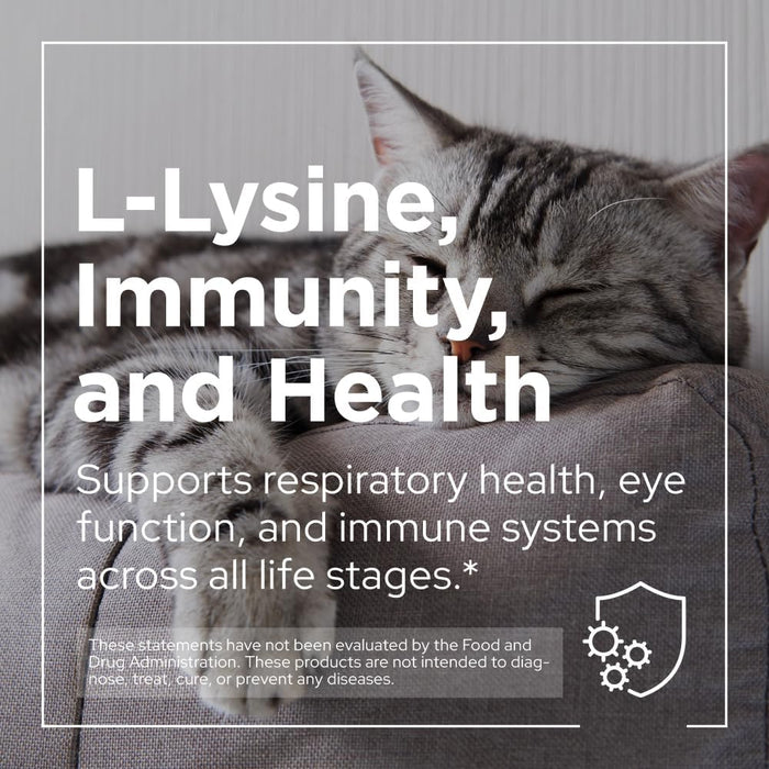 PetPal | L-Lysine Immune and Respiratory Support Supplement for Cats