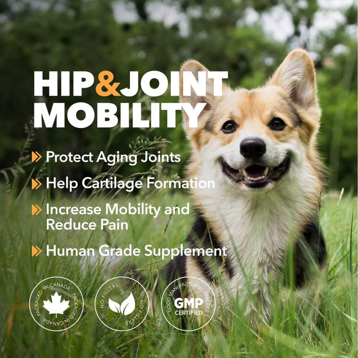PetPal | Hip & Joint Mobility Powder for Dogs