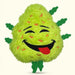Bud the Weed Nug | 420 Dog Toy & Collectible Plush For Pet PAW20 Default Title