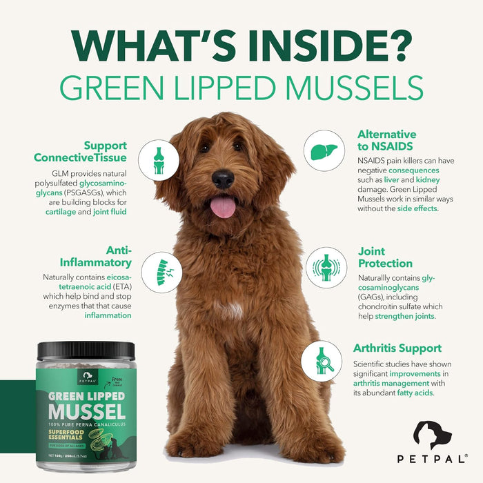 PetPal | New Zealand Green Mussel Powder for Dogs For Pet Neo Wholesale Co.