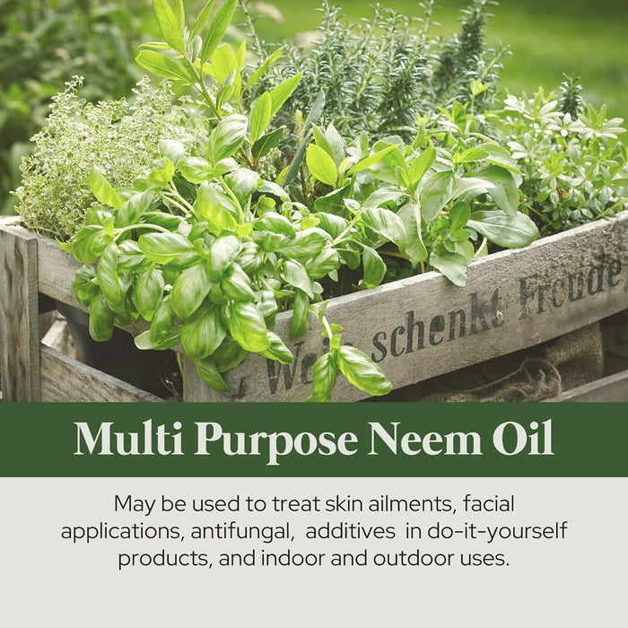 Plant of Life | Organic Neem Oil 2oz Skincare Neo Wholesale Co.