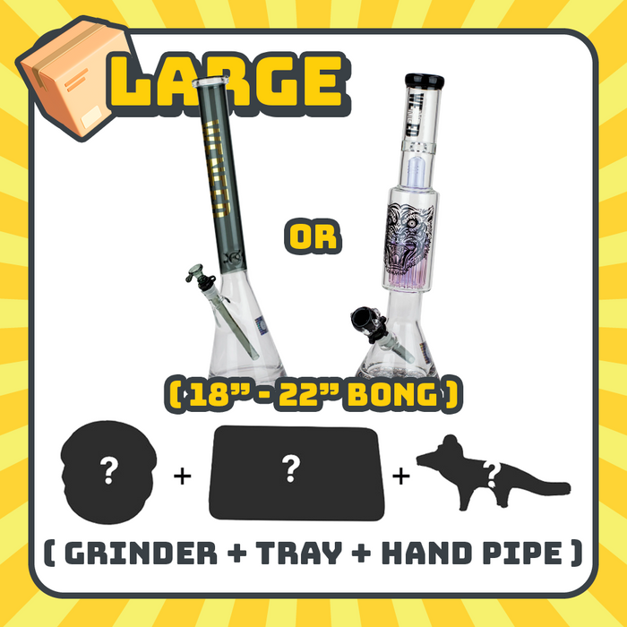 Mystery Box Bongs JJ Distribution Large Box