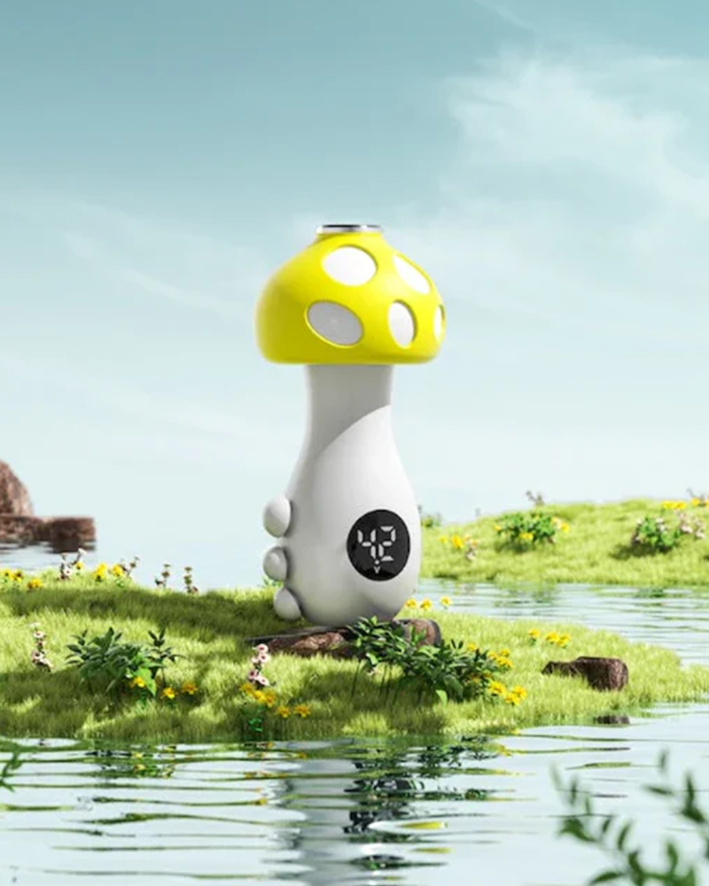 Vaporizers & Accessories