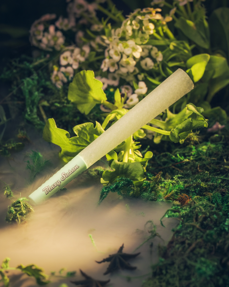 Rolling Papers & Accessories