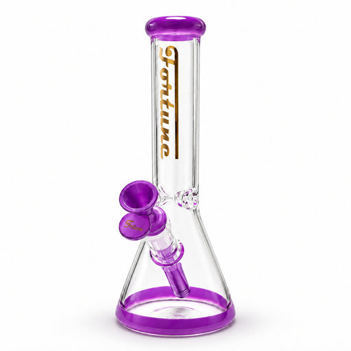 Fortune | 10" Color Accent Beaker Glass Water Pipe – 5mm Glass Bong Fortune Purple