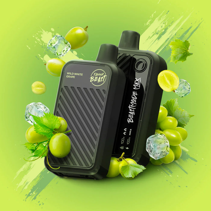 Flavour Beast | Mode Max 18K puff Disposable Box of 5