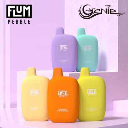 Flum Pebble 6000 Puffs Rechargeable Disposable Vape -S50