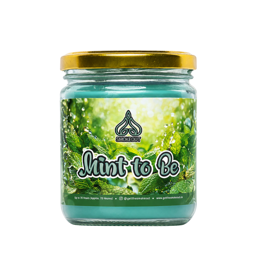 SMOKE OUT odour eliminating candle 13 oz. Candle 420 Paradise BLUEBERRY DELIGHT