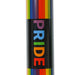 14″ 5MM Glass Beaker Bong – (LGBTQ-00x) Beaker Bong Canadian Distributor