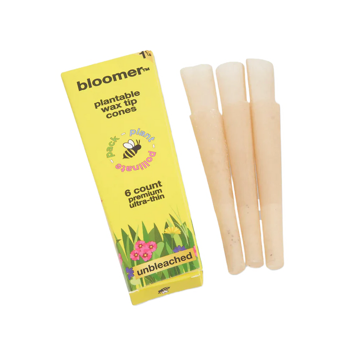 bloomer™ 1-1/4 paper cones - unbleached Box of 21