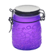 Spider Web Design Glass Storage Jar – Purple-Multiple Sizes Available [SMKZ-139] Jar Canadian Distributor 150 ml