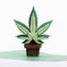 Intricate Greetings | Cannabis Leaf 3D Pop-Up Holiday Card Holiday · Anniversary Intricate Greetings