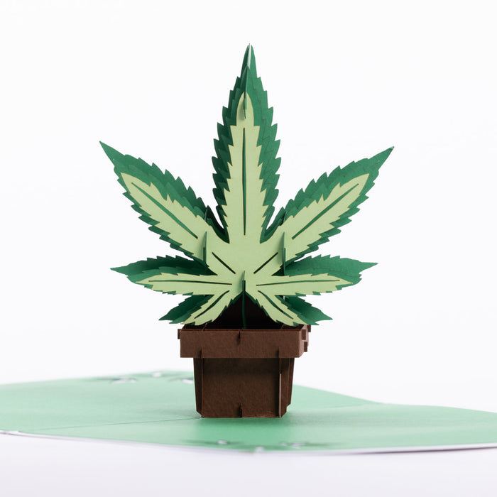 Intricate Greetings | Cannabis Leaf 3D Pop-Up Card – For Any Occasion Holiday · Anniversary Intricate Greetings