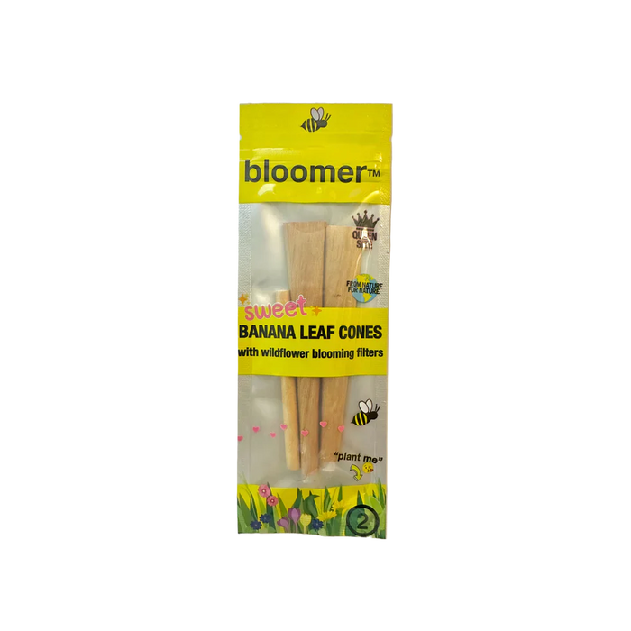 bloomer™ | sweet banana leaf cones box of 20