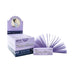 Blazy Susan | Purple Filter Tips Box of 25 ROLLING ACCESSORIES Smoking Cat Distribution