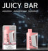 JUICY BAR | JB25000 PROMAX Disposable BOX OF 5 Federal Excise Tax JUICY BAR WATERMELON BBG