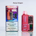 FRIOBAR | MX 10K Rechargeable Disposable Vape Box of 5 Disposable Vape Canadian National Distributors Razzy Dragon