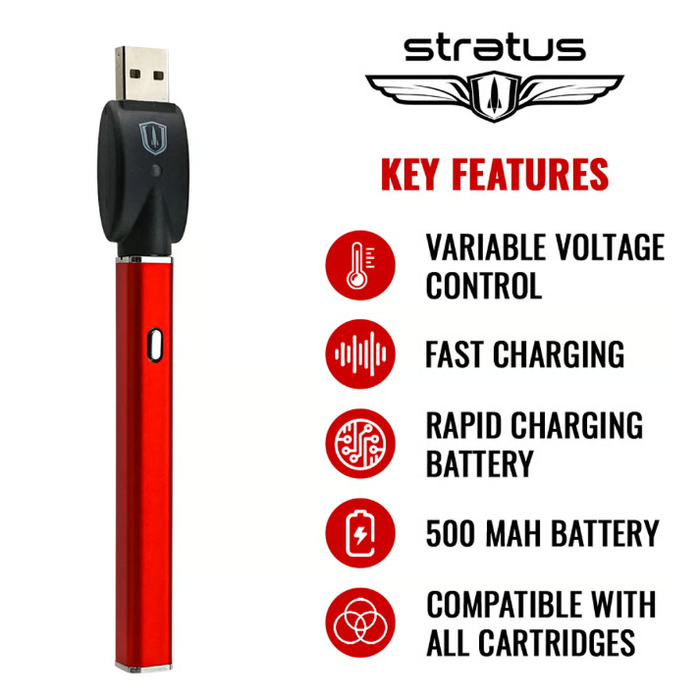 Stratus | 500Mah vape battery W/USB Charger Display of 24 510 Battery Buddyz Wholesale