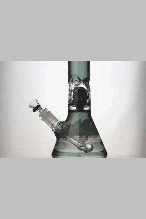 12" 6 tree arms window beaker glass bong Glass Bong ONE