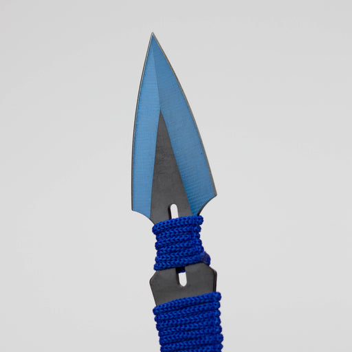 3pc Throwing Knife Set with Sheath [T00501-2] Throwing Knife Canadian Distributor