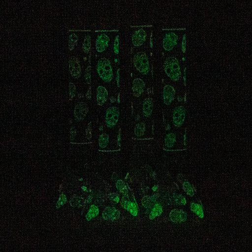 18" Skull Glow in the dark 7 mm glass water bong Glass Bong ONE