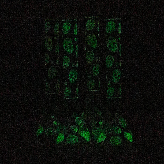 18" Skull Glow in the dark 7 mm glass water bong Glass Bong ONE