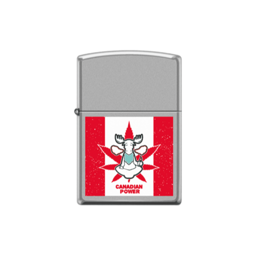 Zippo 58291 Leaf Canadian Leaf Power Zippo Lighter ONE
