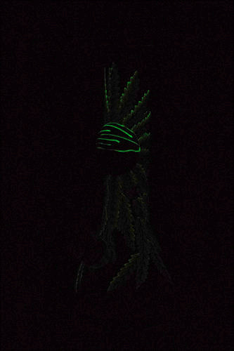 13" Glow in the dark artwork 7 mm glass bong- - One Wholesale
