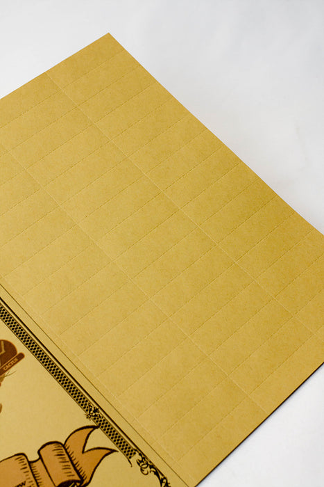 Raw Tips Book 48/10- - One Wholesale