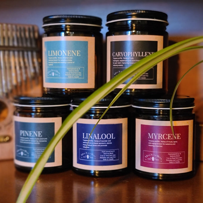 Mind Your Bees - Caryophyllene Terpene Inspired Luxury Candle Candles Mind Your Bees