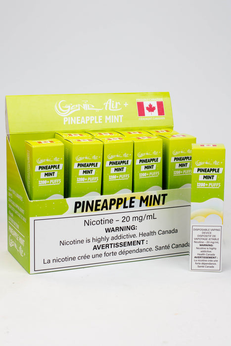 Genie Air+ disposable 1200 Puff Pod 20 mg/mL-Pineapple Mint - One Wholesale