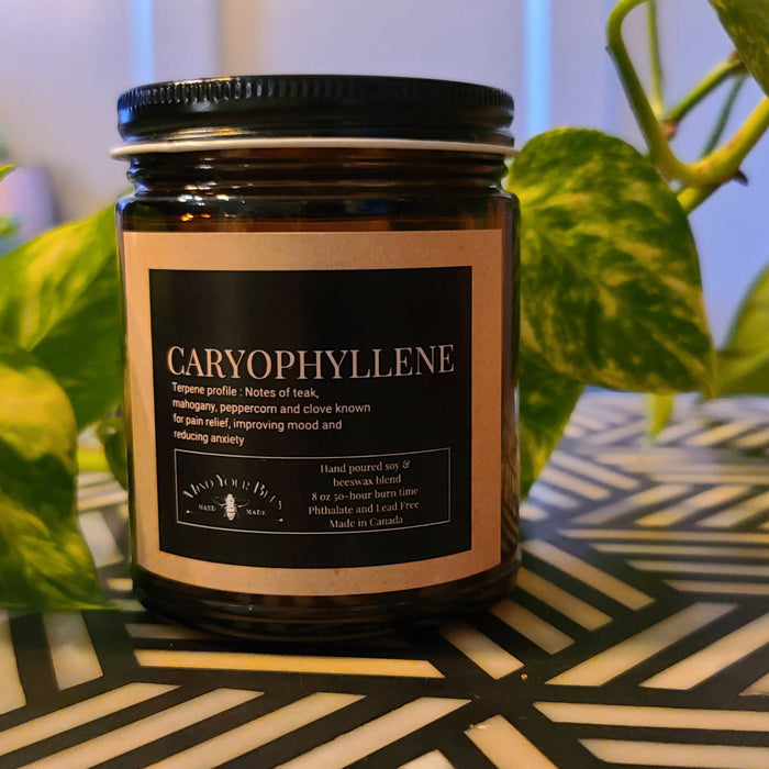 Mind Your Bees - Caryophyllene Terpene Inspired Luxury Candle Candles Mind Your Bees Caryophyllene