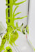 11.5" Glow in the dark color tree glass beaker bong [CD2002]- - One Wholesale