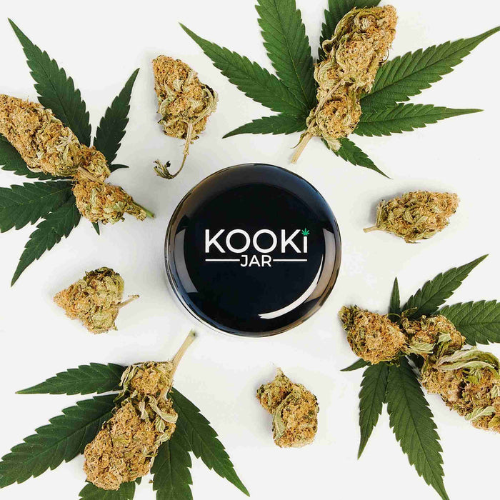 The Blackout | Small UV Glass Stash Jar Jar KookiJar