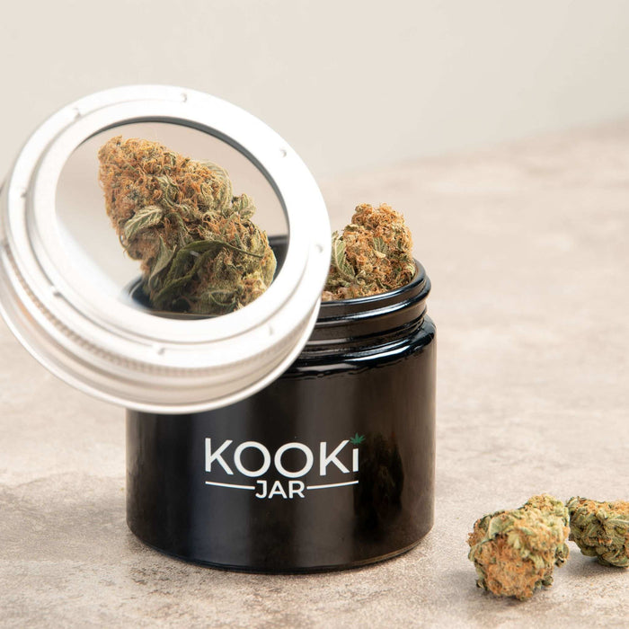 The Compact | Small Glass Stash Jar with 5x Magnifying Lid