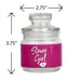 ASHTRAY AND STASH JAR SET - PINK STONER GIRL DESIGN Jar Roast and Toast Gifts