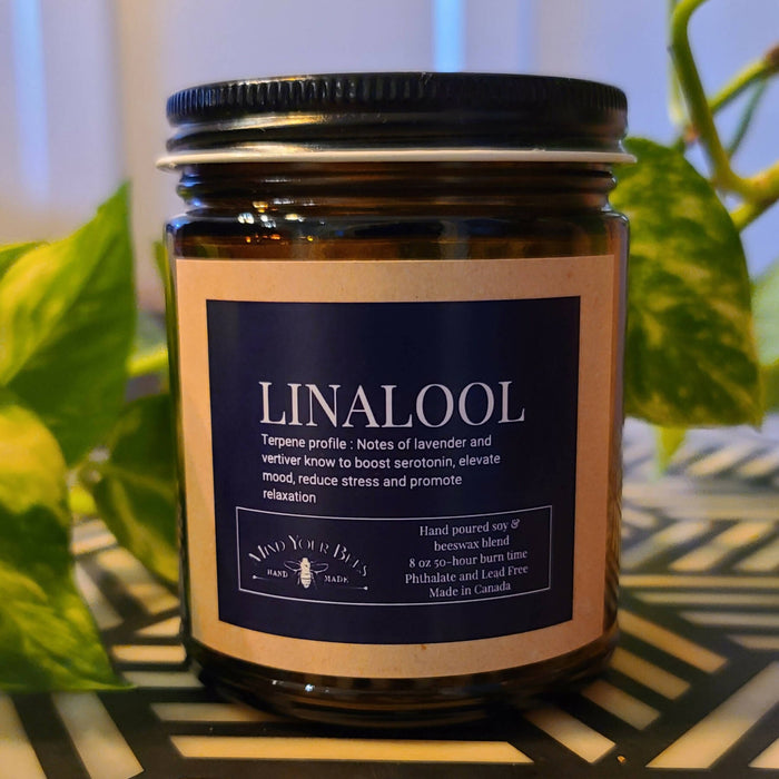Mind Your Bees - Caryophyllene Terpene Inspired Luxury Candle Candles Mind Your Bees Linalool