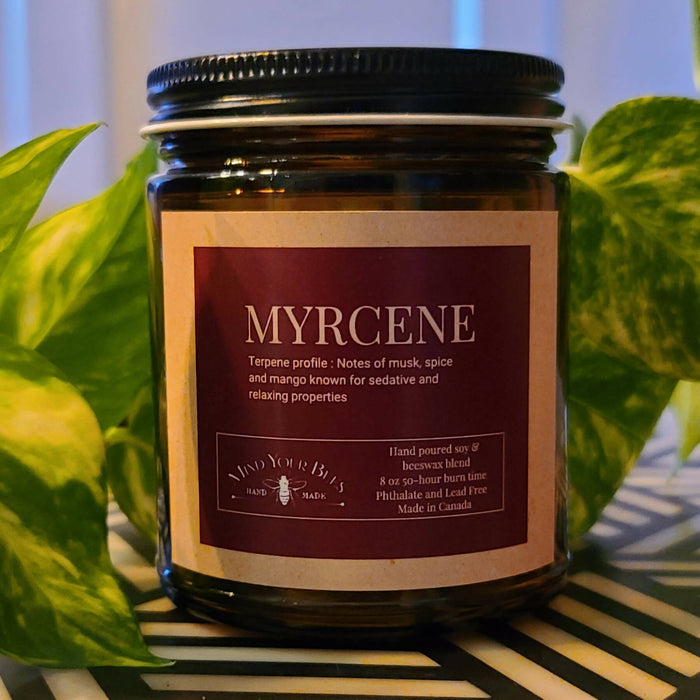 Mind Your Bees - Caryophyllene Terpene Inspired Luxury Candle Candles Mind Your Bees Myrcene
