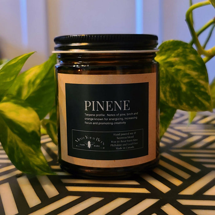 Mind Your Bees - Caryophyllene Terpene Inspired Luxury Candle Candles Mind Your Bees Pinene