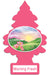 Little Trees fragrances-Morning Fresh - One Wholesale