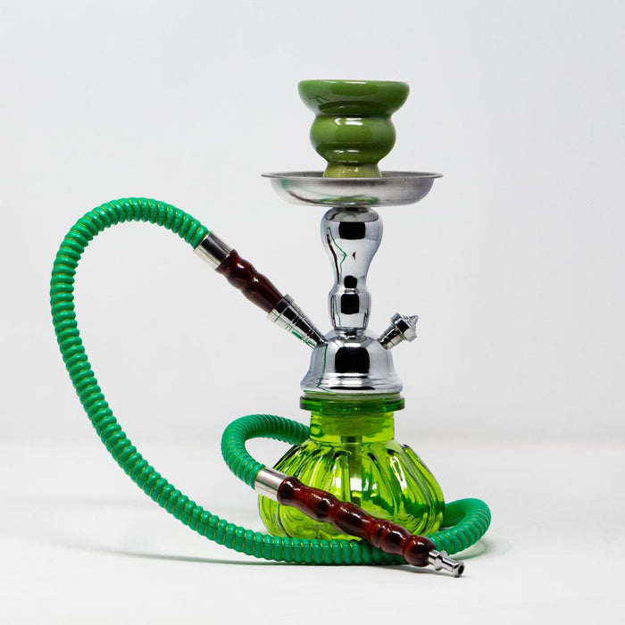 10" 1 hose Hookah [AK2261] Hookah Canadian Distributor Green