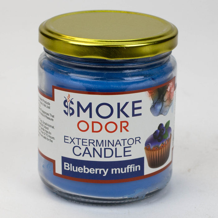 Smoke Odor Exterminator Candle 13 oz Display of 12 Assorted Scent