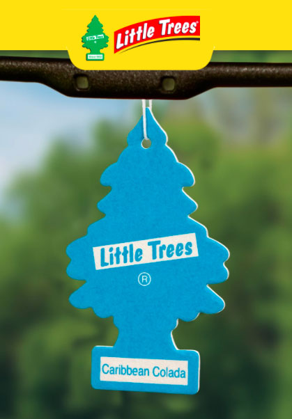 Little Trees fragrances- - One Wholesale